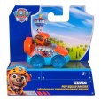 Paw Patrol - Figurka Rocky