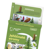Kouzelné čtení - Dvojlisty Jehličnaté Stromy