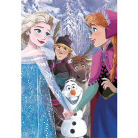 Puzzle 104 – Frozen
