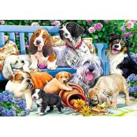 Puzzle 1000 – Psi