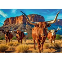Puzzle 1000 – Texaský dlouhorohý skot