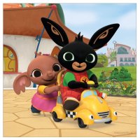 Puzzle 3x55 – Bing