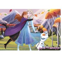 Puzzle 24 – Frozen