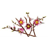 11510 Lego Botanicals – Větvičky magnólie