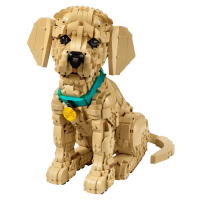 11384 Lego Icons - Štěně zlatého retrívra
