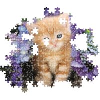 Puzzle 500 – Kotě