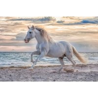 Puzzle 500 - Večerní cval