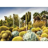 Puzzle 1000 – Krásné zahrady: Huntington Garden, USA