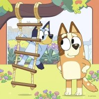 Puzzle 3x49 - Bluey