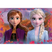 Puzzle 2x12 - Frozen