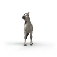 Schleich - Valach knabstrupský kůň 14916