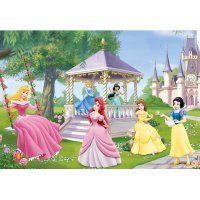 Puzzle 2x24 – Princezny