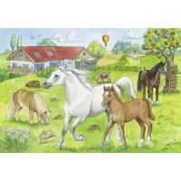 Puzzle 2x24 – Koně