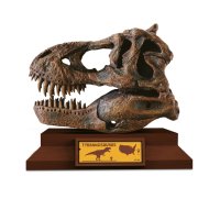 Albi Science - Lovci Lebek - Tyrannosaurus