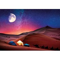 Puzzle Peace 500 – Hvězdná noc