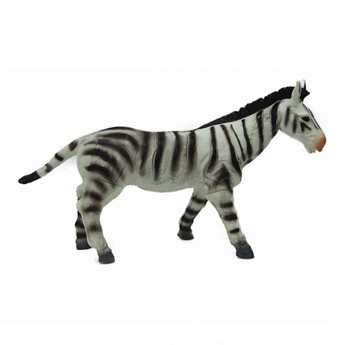 Divoká zvířata Zebra