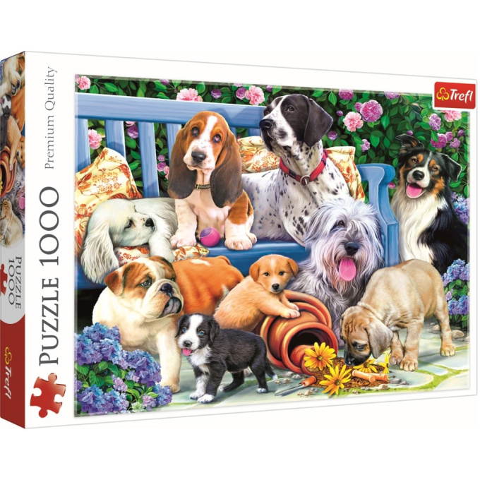 Puzzle 1000 – Psi
