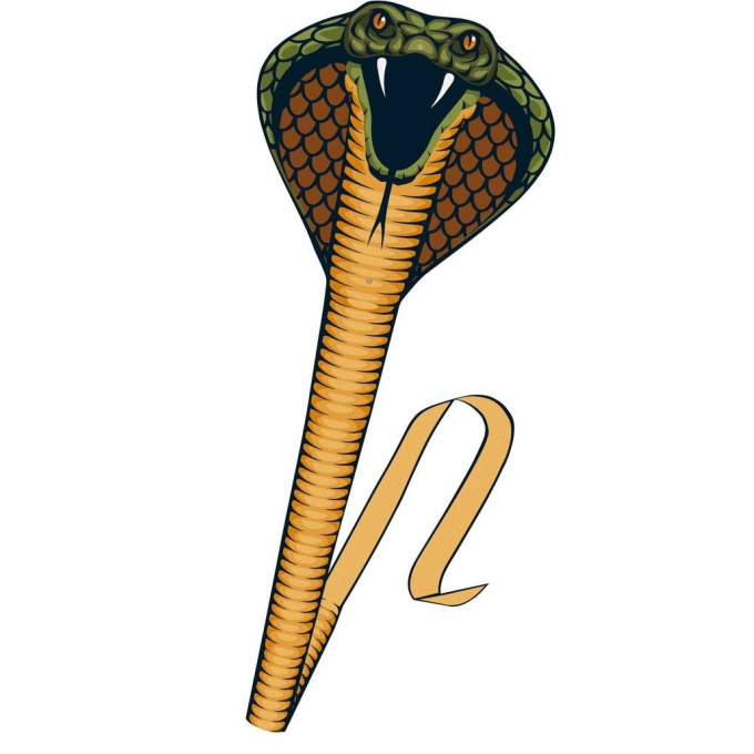 Drak Cobra