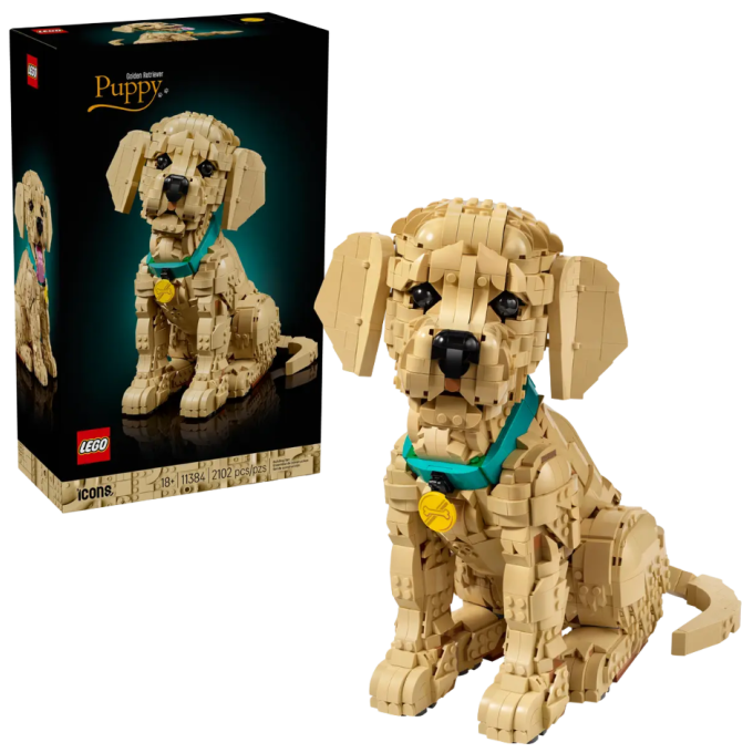 11384 Lego Icons - Štěně zlatého retrívra