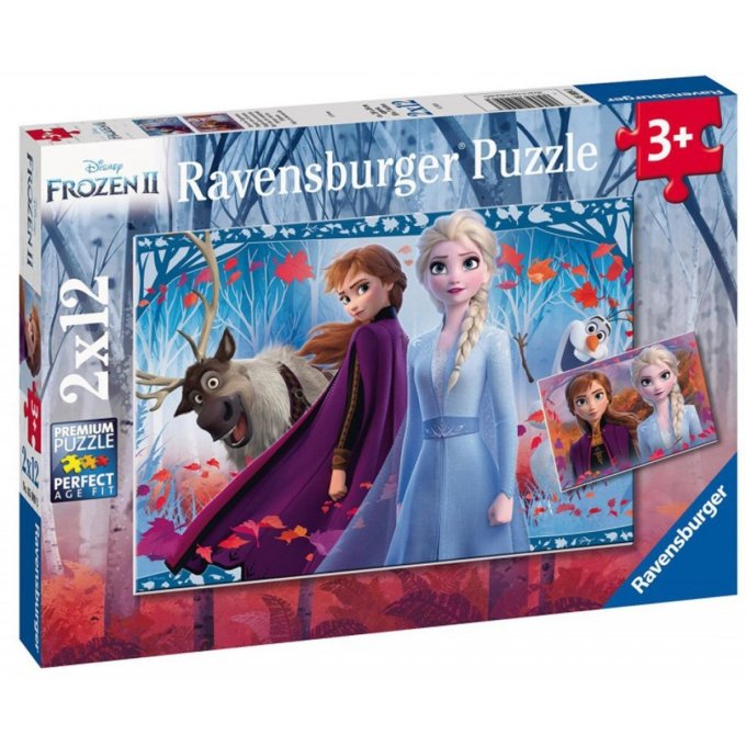 Puzzle 2x12 - Frozen
