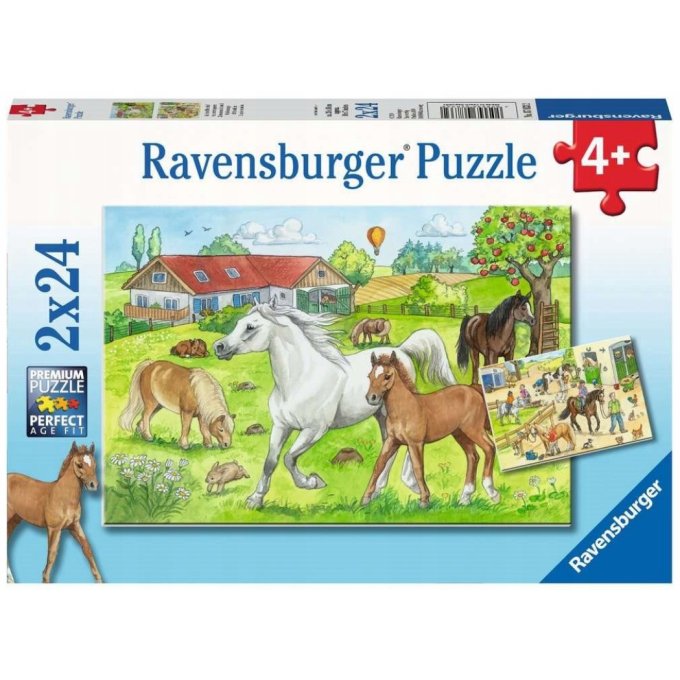 Puzzle 2x24 – Koně