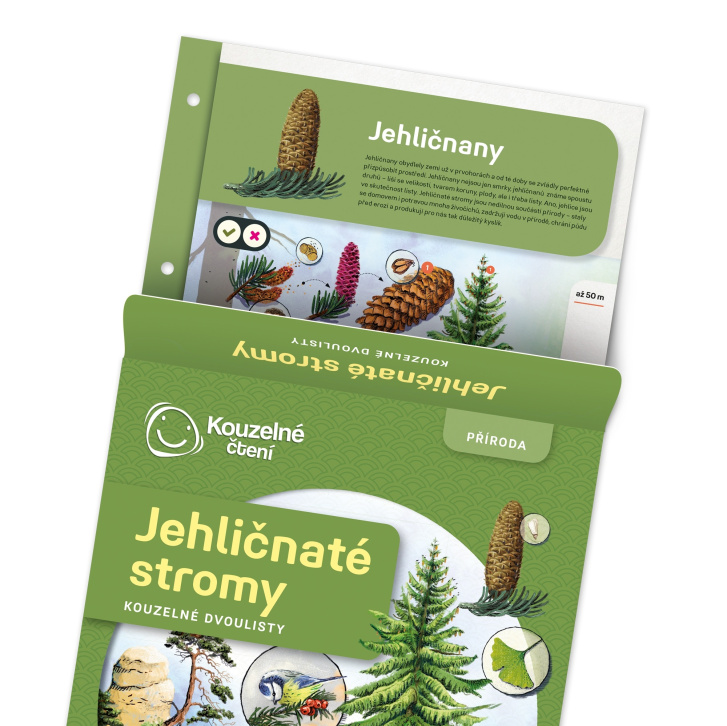 Kouzelné čtení - Dvojlisty Jehličnaté Stromy