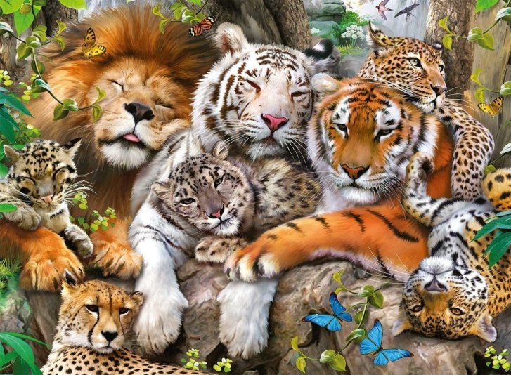 Puzzle 200 XXL - Kočkovité šelmy
