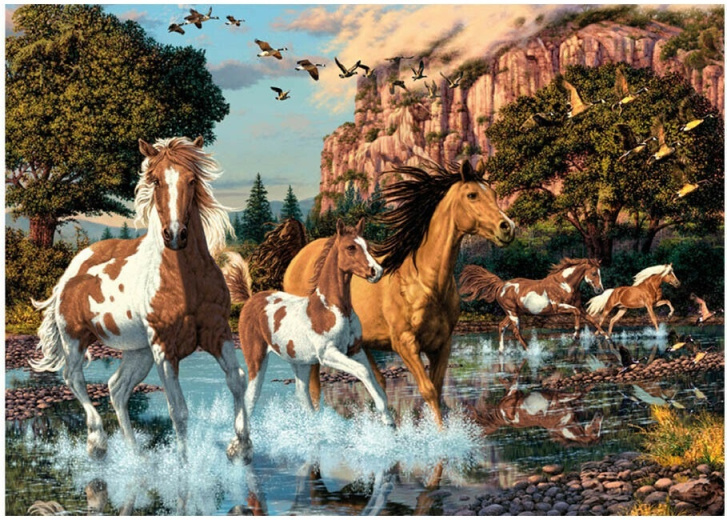 Puzzle 1000 - Koně