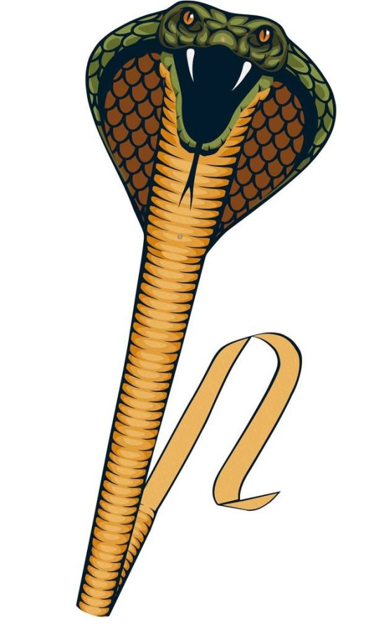 Drak Cobra