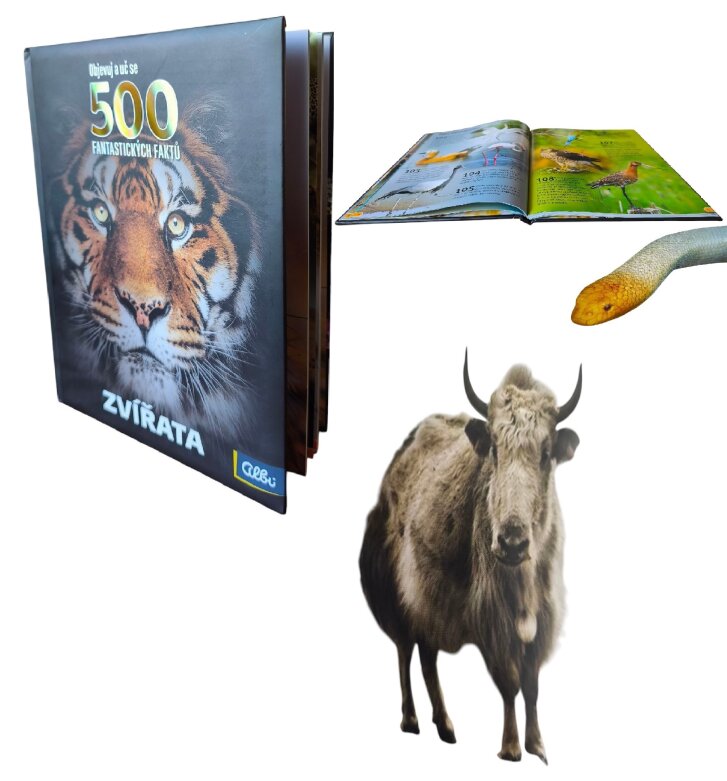 Kniha – 500 fantastických faktů: Zvířata