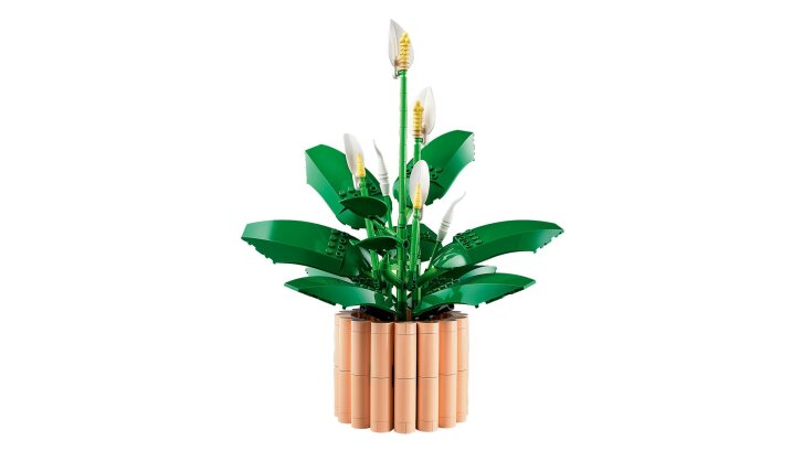 11504 Lego Botanicals – Lopatkovec