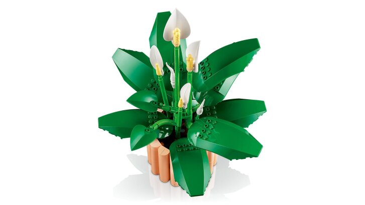 11504 Lego Botanicals – Lopatkovec