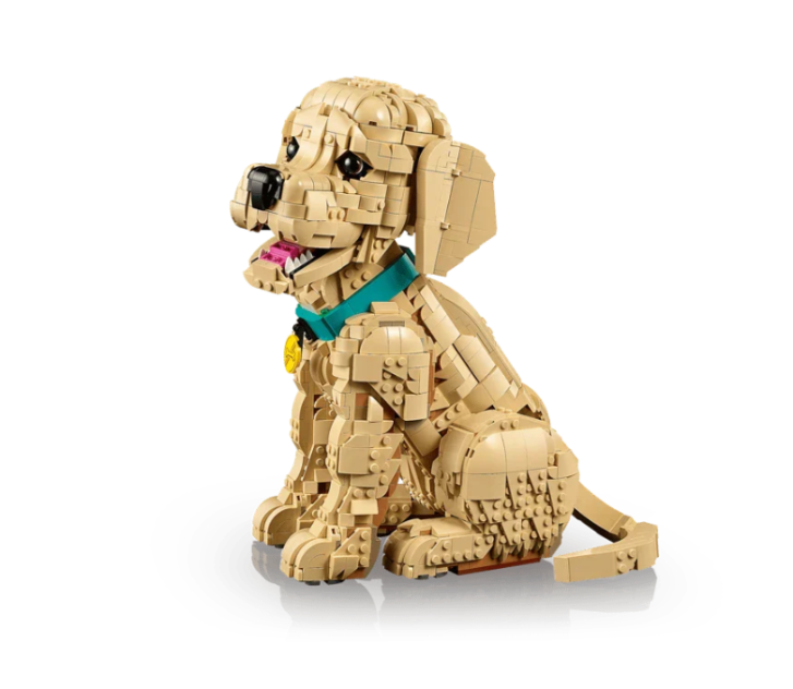 11384 Lego Icons - Štěně zlatého retrívra