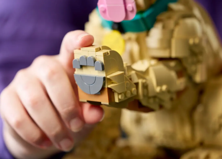 11384 Lego Icons - Štěně zlatého retrívra