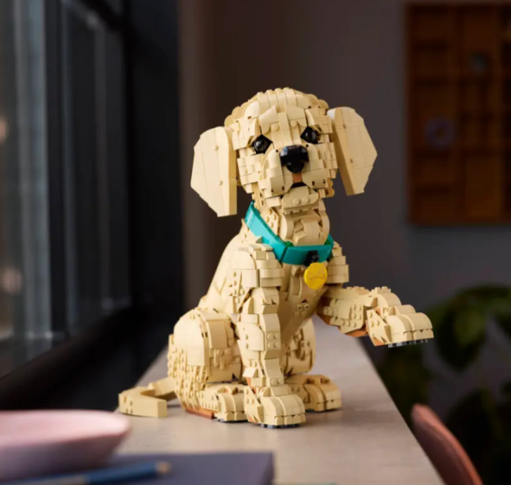 11384 Lego Icons - Štěně zlatého retrívra