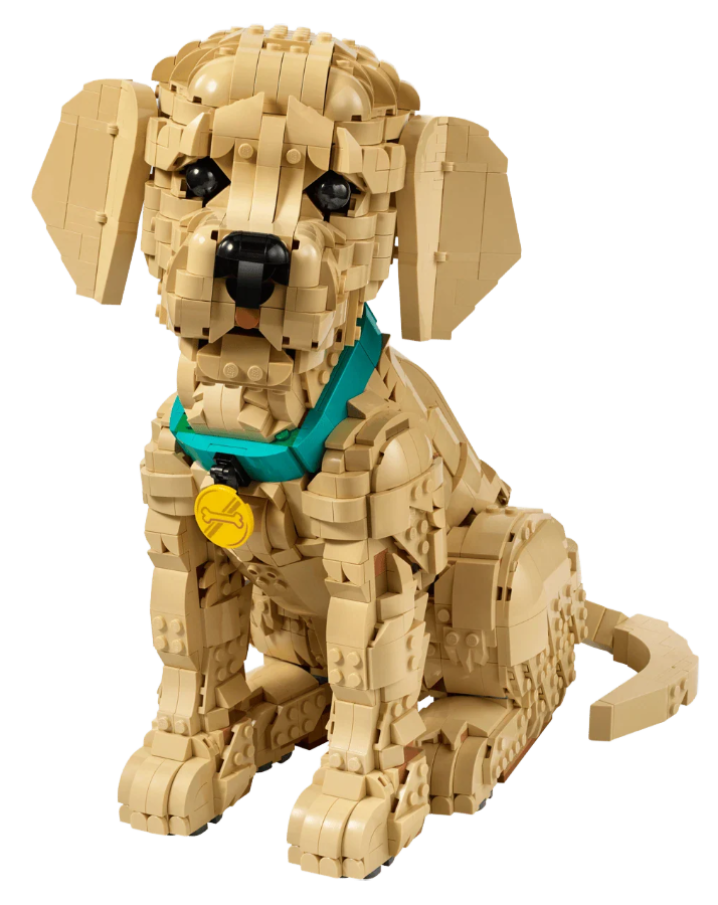 11384 Lego Icons - Štěně zlatého retrívra