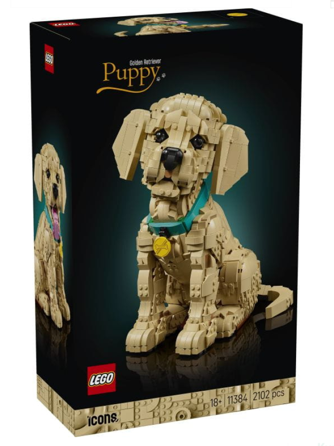 11384 Lego Icons - Štěně zlatého retrívra