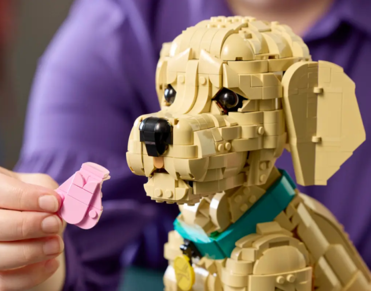 11384 Lego Icons - Štěně zlatého retrívra