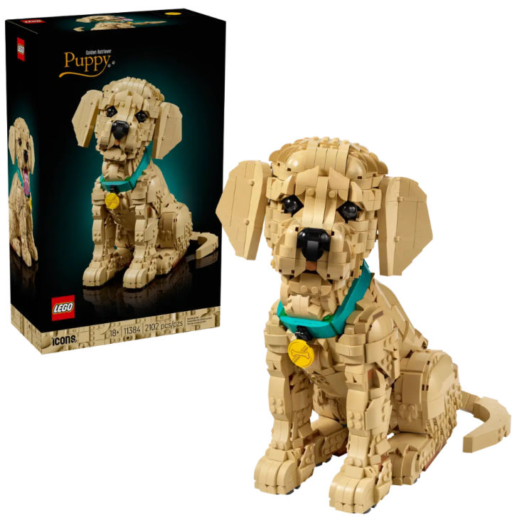 11384 Lego Icons - Štěně zlatého retrívra