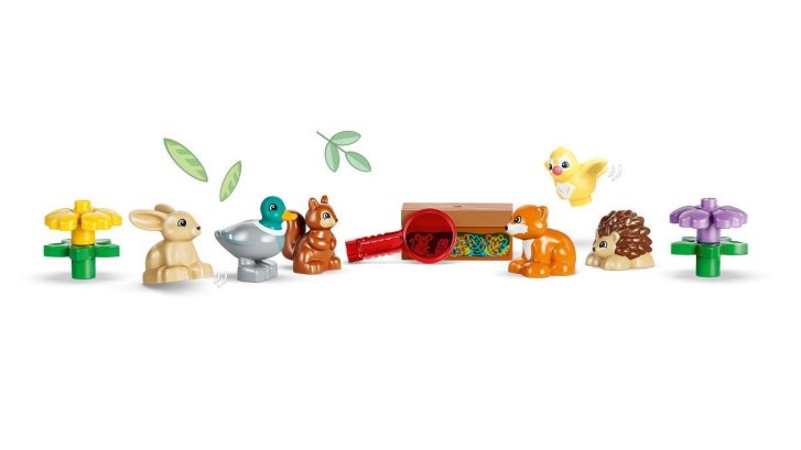 10480 Lego Duplo - Les plný objevů a divokých zvířátek