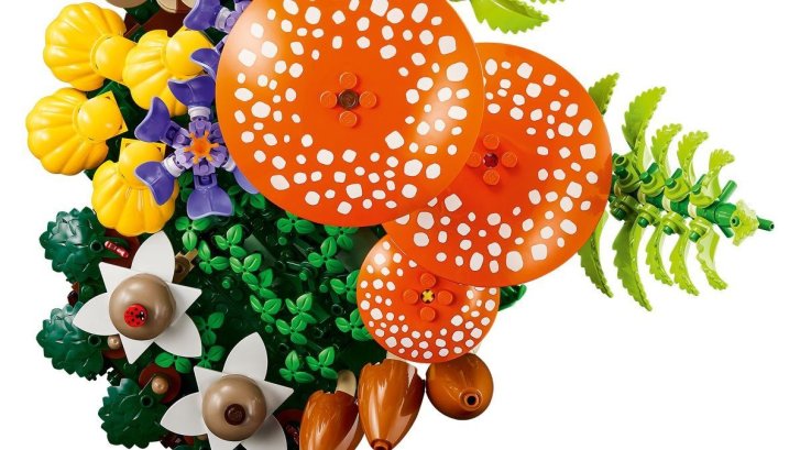 11505 Lego Botanicals - Lesní houby
