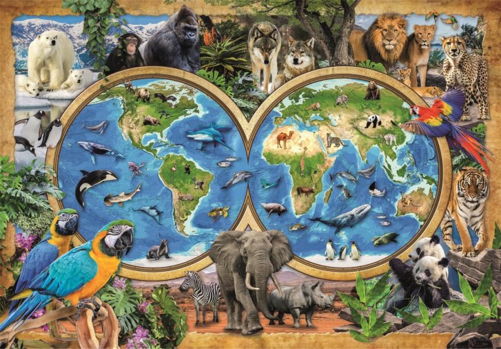 Puzzle 300 – Úžasný svět zvířat