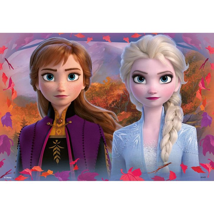 Puzzle 2x12 - Frozen