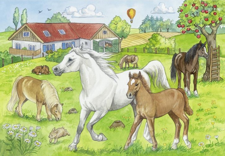 Puzzle 2x24 – Koně
