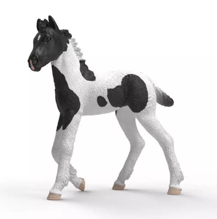 Schleich – Hříbě Rocky 81481