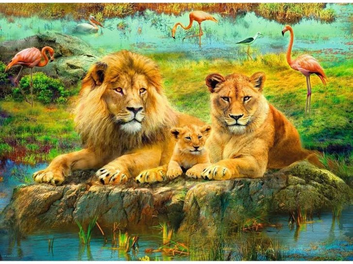 Puzzle 500 - Lvi na savaně