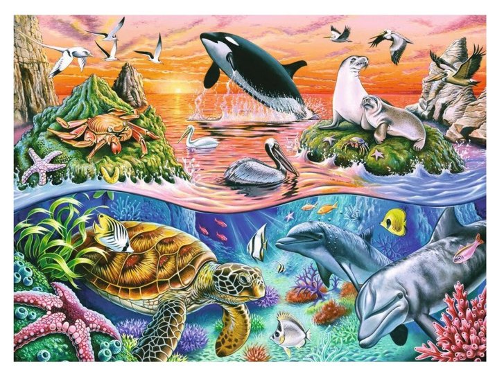 Puzzle 100 XXL – Nádherný oceán
