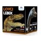 Albi Science – Lovci lebek Velociraptor
