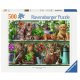 Puzzle 500 – Kočky na poličce