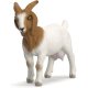 Schleich – Koza burská 14929